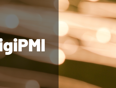 DigiPMI
